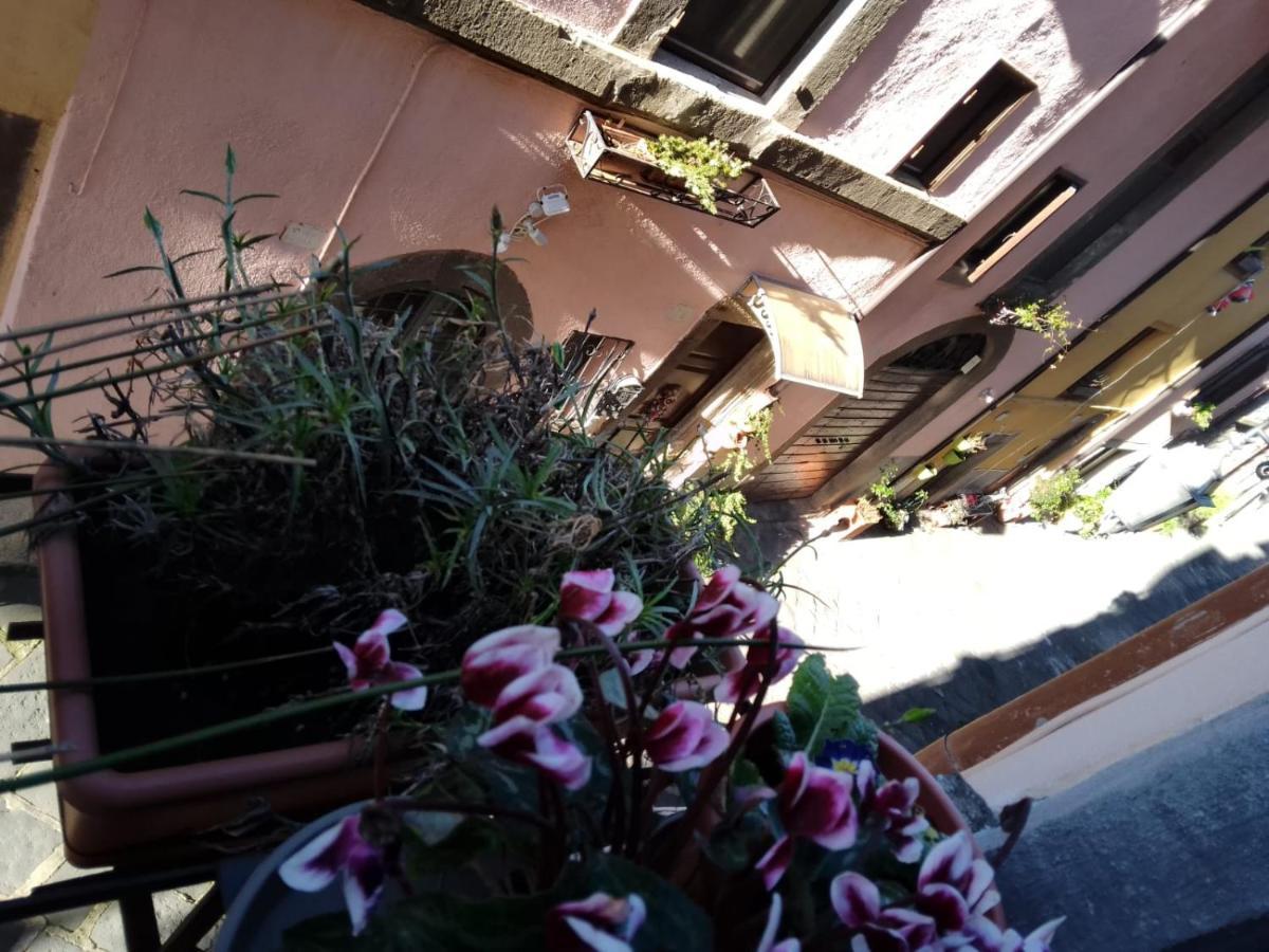 Alloggio Turistico Centro Storico Malatesta 蒙蒂菲阿斯科尼 外观 照片